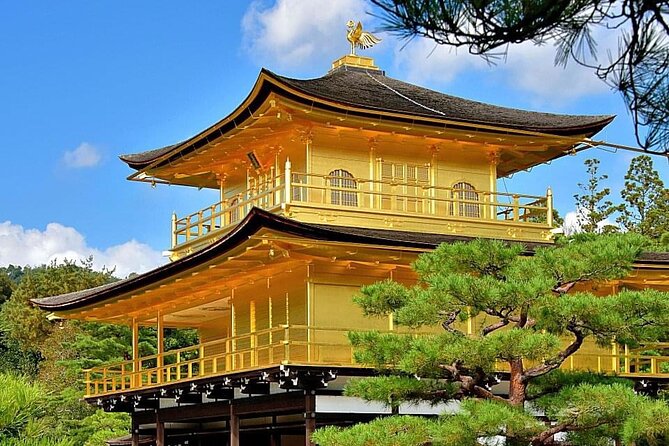 Kyoto, Osaka, Nara Private Tour by Car English Driver Guide - Osaka’s castle, street food, and southern shrines