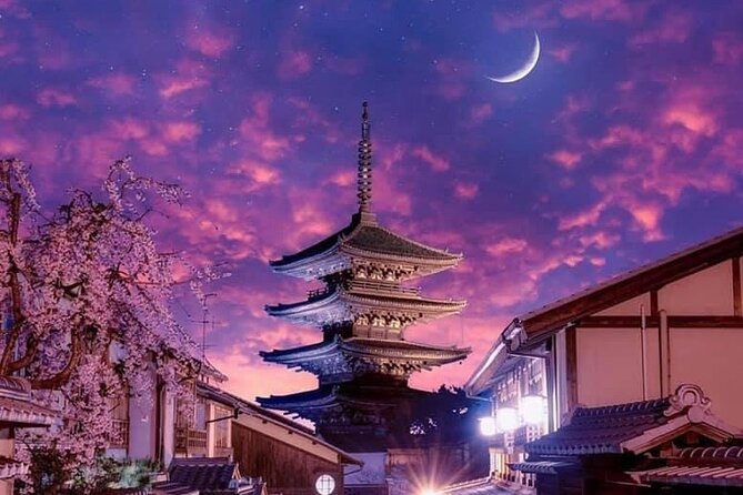 Kyoto, Osaka, Nara Private Tour by Car English Driver Guide - Why the private car can be worth $660.51