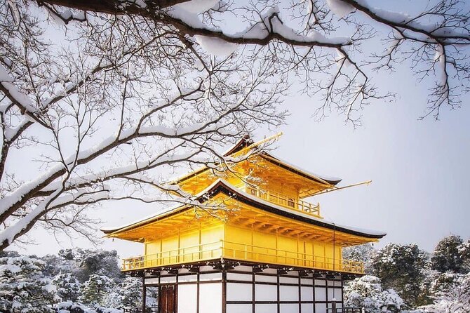 Kyoto, Osaka, Nara Private Tour by Car English Driver Guide - The itinerary problem: too much Japan in one day
