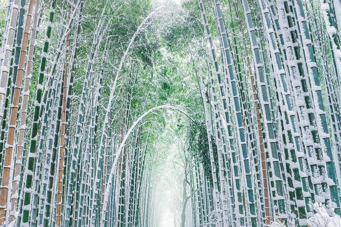 Kyoto, Osaka, Nara Private Tour by Car English Driver Guide - Who should book this experience?