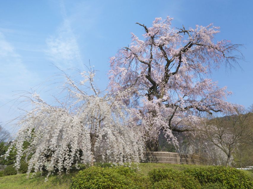 Kyoto: Private 2.5 Hour Historical Walking Tour - Is $80 good value for a private group?