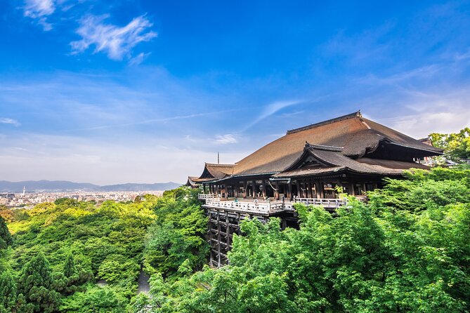 Kyoto Private 6 hour Tour: English Speaking Driver Only, No Guide - Tenryu-ji and Arashiyama: make these one western Kyoto visit