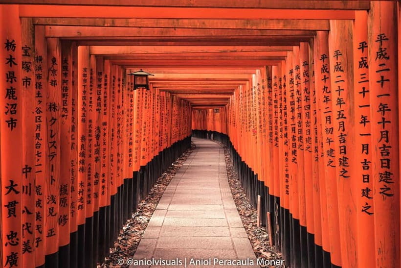Kyoto: Private Customizable Day Tour with Guide and Vehicle - Key points before you book