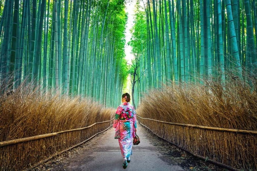 Kyoto: Private Customizable Day Tour with Guide and Vehicle - Why a private car helps in Kyoto