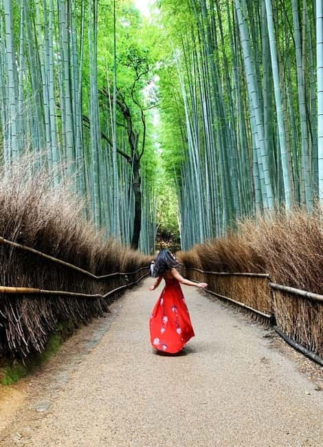 Kyoto: Private Customizable Day Tour with Guide and Vehicle - Pickup, comfort, and access details