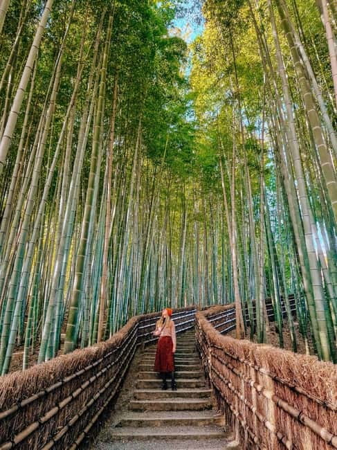 Kyoto: Private Customizable Day Tour with Guide and Vehicle - Nishiki Market: food, color, and a short lunch window
