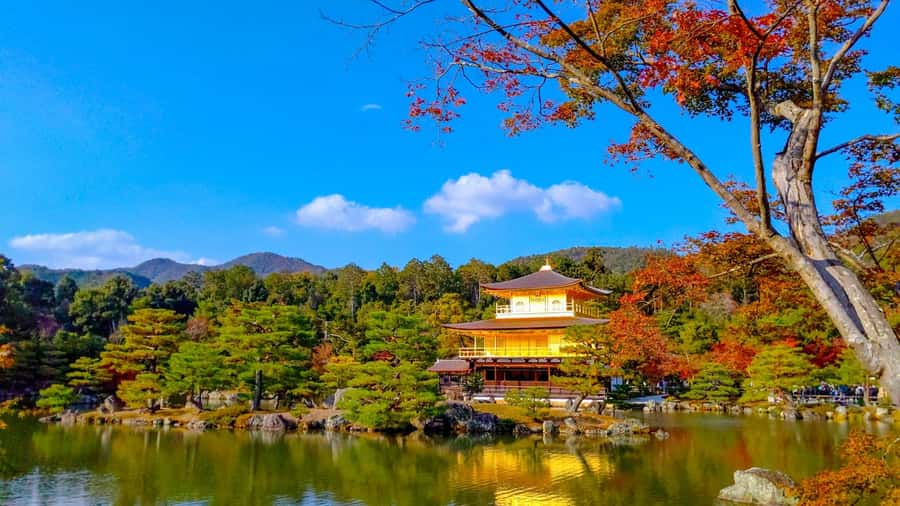 Kyoto: Private Customizable Day Trip by Car - Kinkaku-ji offers Kyoto’s most recognizable view