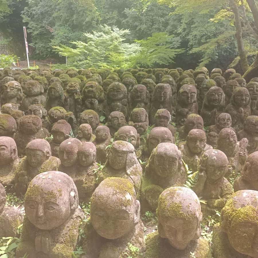 Kyoto: Private Customizable Day Trip by Car - Lunch, admission fees, and the small costs to plan
