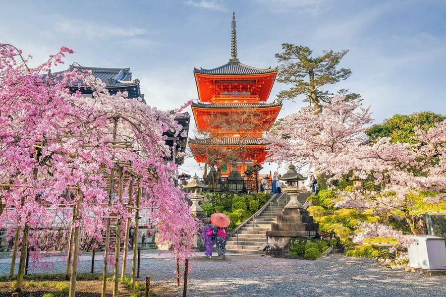 Kyoto: Private Highlights Tour with Guide and Luxury Vehicle - Fushimi Inari and its endless red torii