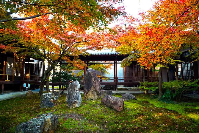 Kyoto Private Tour: One Day Highlights and Cultural Gems - Nishiki Market for food and local goods