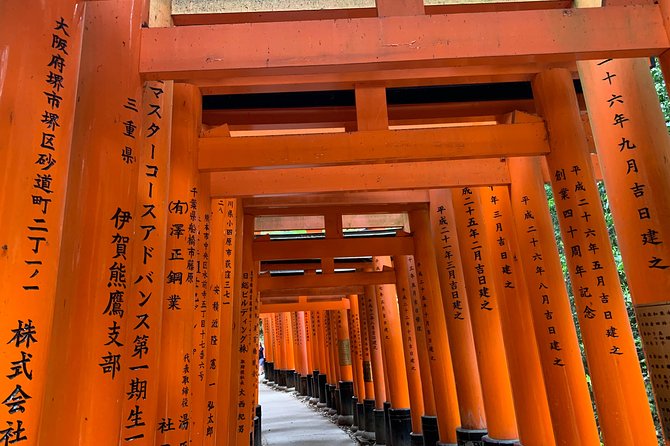 Kyoto private tour (Shore excursion available from Osaka or Kobe port) - The guides are the tour’s strongest feature