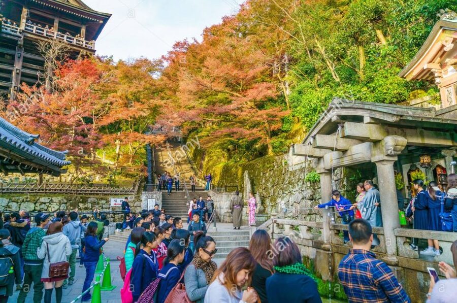 Kyoto: Private Tour with Local Licensed Guide - Key points to know before booking