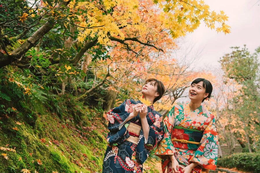 Kyoto: Tea Ceremony in 100-year-old Kyo-Machiya Townhouse - Who will enjoy this most?
