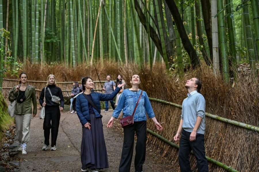 Kyoto to Arashiyama Day Trip - Private & Personalized - Why Arashiyama works best with a flexible guide
