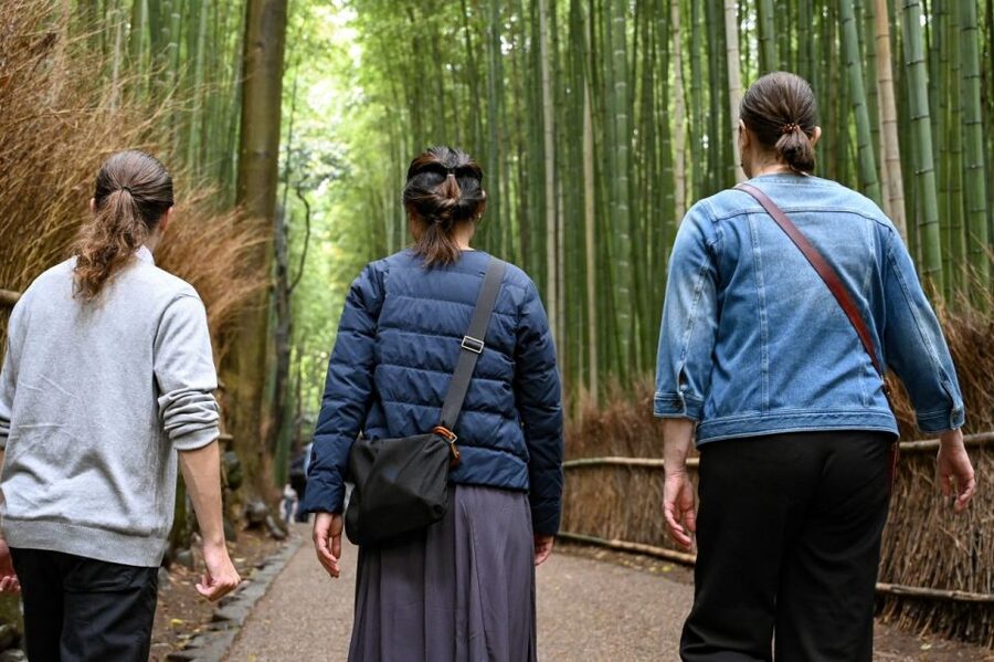 Kyoto to Arashiyama Day Trip - Private & Personalized - Tenryū-ji and a garden from centuries ago