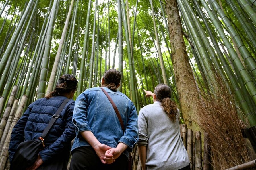 Kyoto to Arashiyama Day Trip - Private & Personalized - Choosing four additional temple visits