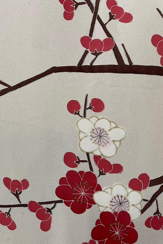 Kyoto: Traditional Yuzen Dyeing Experience - Who will enjoy this Kyoto experience most