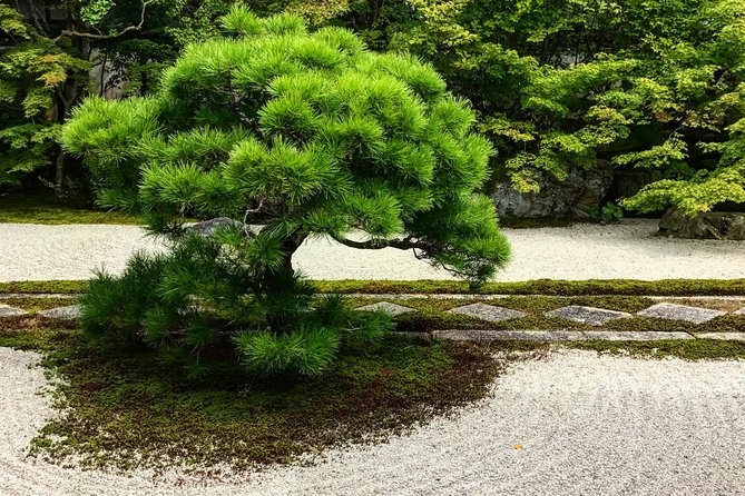 Kyoto: Zen Garden, Zen Mind (Private) - Why this Kyoto garden tour is different