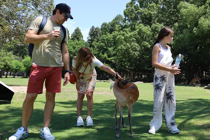 Luxury Kyoto 1-Day Private Car Tour with Nara & Osaka Options - Seeing the gardens at Tenryu-ji