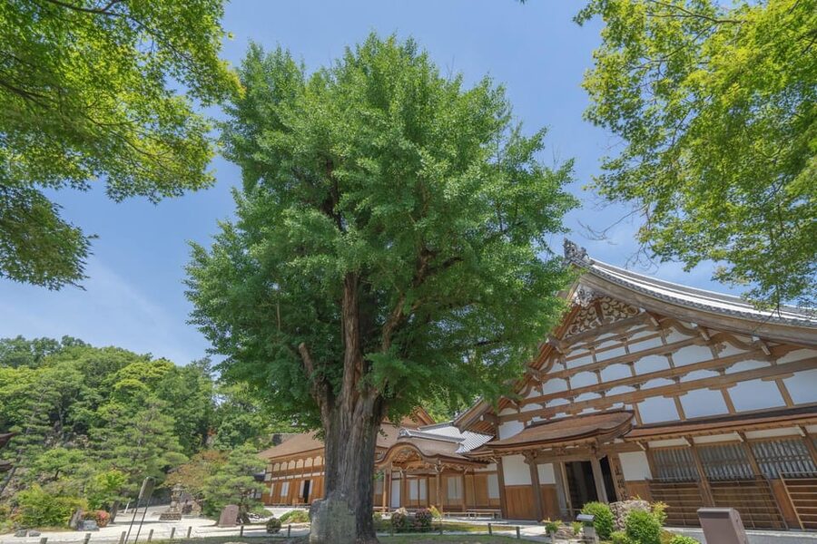 Magome-juku, Tsumago-juku & Ena-kyo 1d Bus Tour from Nagoya - Bilingual guidance and bus-group realities