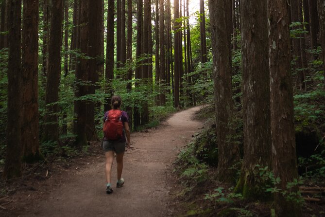 Magome & Tsumago Nakasendo Trail Day Hike with Government-Licensed Guide - Starting in Magome, the sloping post town