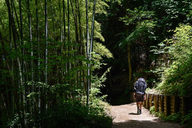 Magome & Tsumago Nakasendo Trail Day Hike with Government-Licensed Guide - Walking the 8-kilometer trail between villages