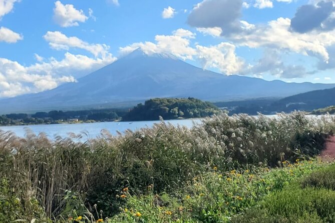 Majestic Mt. Fuji & Hakone Retreat –A Private Day Tour from Tokyo - How the schedule works in real life