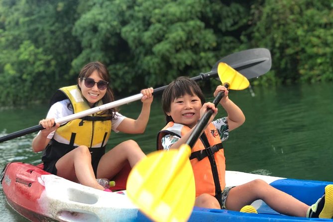 Mangrove kayaking to enjoy nature in Okinawa - Key points at a glance