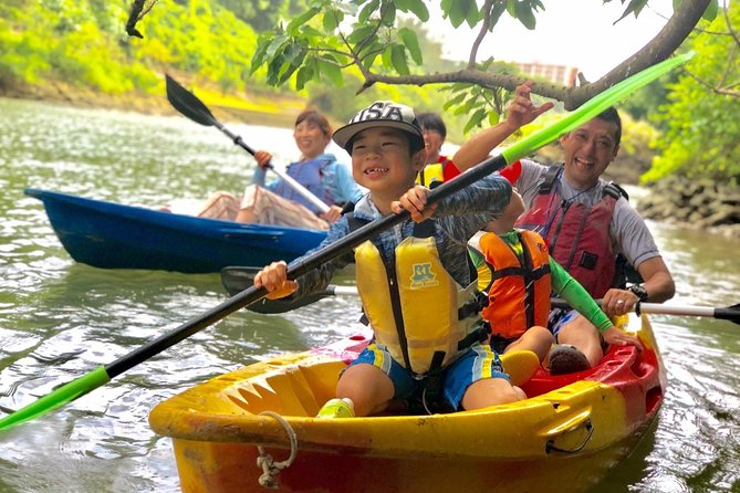 Mangrove kayaking to enjoy nature in Okinawa - A gentle introduction to Okinawa by kayak