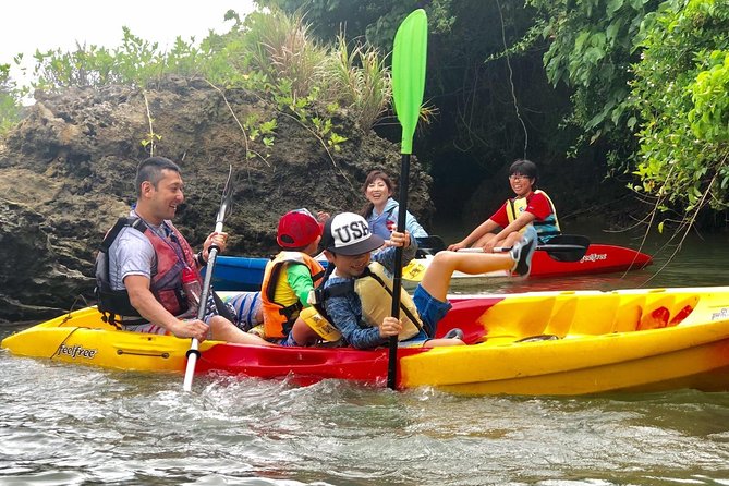 Mangrove kayaking to enjoy nature in Okinawa - Who will enjoy this most