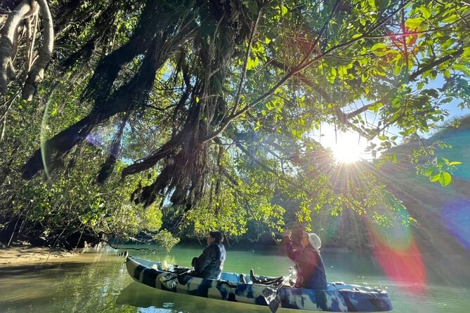 Mangrove kayaking to enjoy nature in Okinawa - Is $36.33 a fair price?