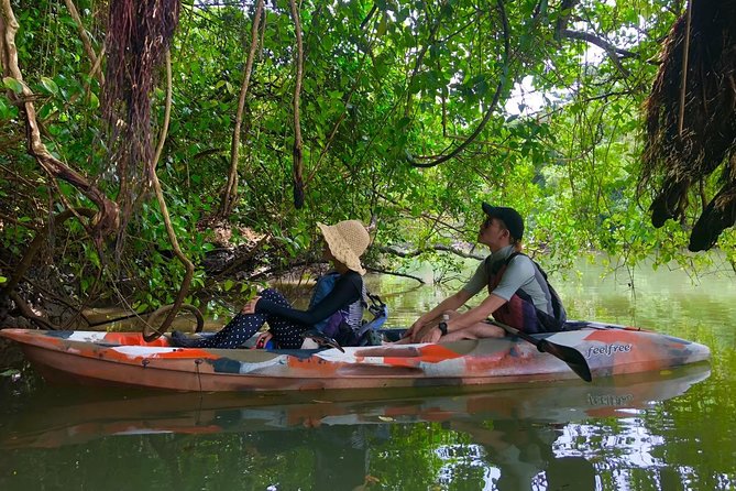 Mangrove kayaking to enjoy nature in Okinawa - What to wear and bring