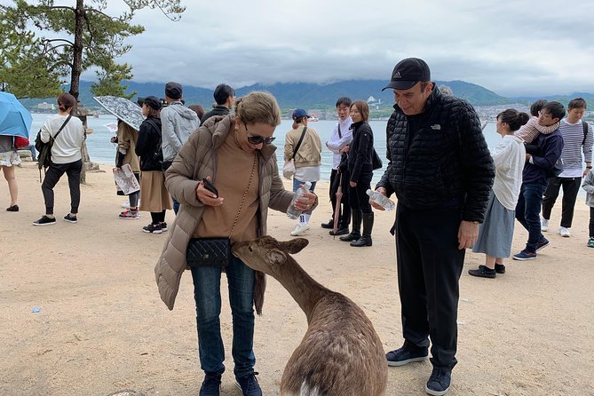 Miyajima Half-day Private Tour with Government Licensed Guide - Omotesando Shopping Street: snacks, souvenirs, and island crowds