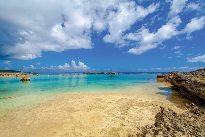 [Miyako Island/Half Day] Sea Turtle Snorkeling - What this Miyakojima snorkeling trip is really like