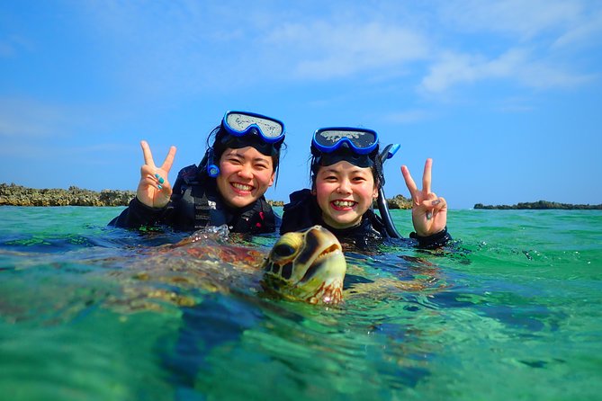 [Miyako Island/Half Day] Sea Turtle Snorkeling - Is $45.76 good value?