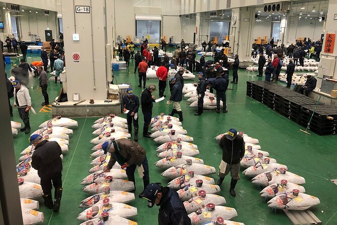 Morning Market Adventure: Toyosu & Tsukiji with Tuna Auction - Key points at a glance