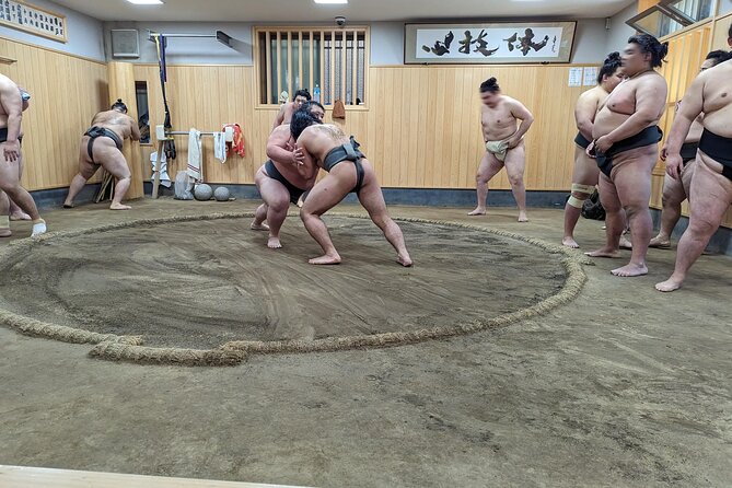 Morning Sumo Practice Viewing in Tokyo - What the $99.08 Price Buys You