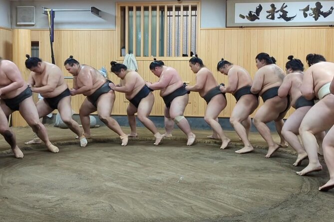 Morning Sumo Practice Viewing in Tokyo - Who Will Get the Most From This Morning