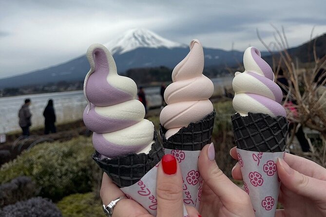 Mount Fuji Adventures Private English Tour With Hotel Pick Up - Why a Private Van Makes Sense From Tokyo