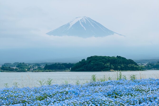 Mount Fuji Adventures Private English Tour With Hotel Pick Up - What the $474.22 Price Really Buys