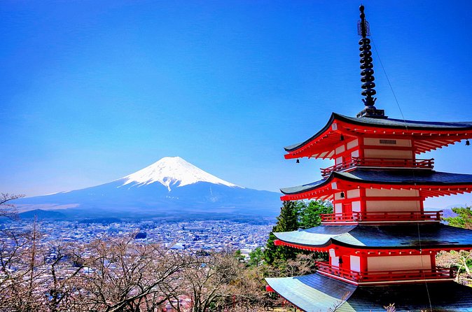 Mount fuji and Hakone Full day private sightseeing tour - Lake Ashi and the pirate boat option