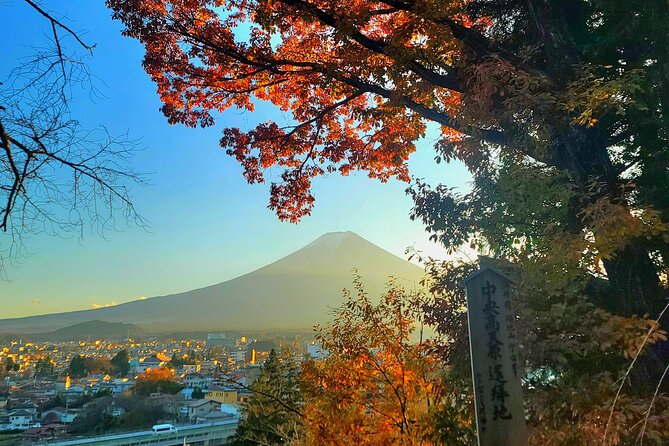 Mount fuji and Hakone Full day private sightseeing tour - Togendai Station and the Hakone Ropeway
