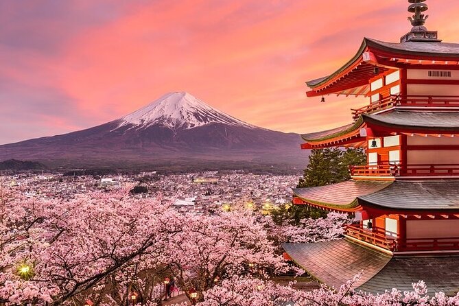 Mount Fuji and Hakone Private Tour by Car with Pickup from Tokyo - Start Early for Better Fuji Views