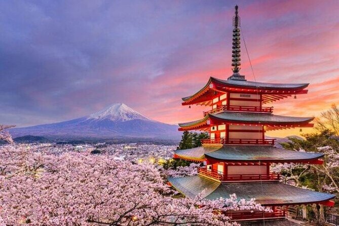 Mount Fuji and Hakone Private Tour by Car with Pickup from Tokyo - Lake Ashi and the Wild Grass Garden