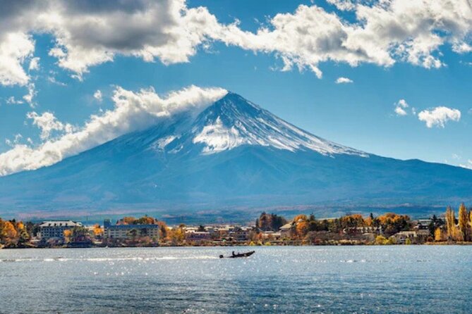 Mount Fuji and Hakone Private Tour by Car with Pickup from Tokyo - Gora Park, a Short Garden Visit
