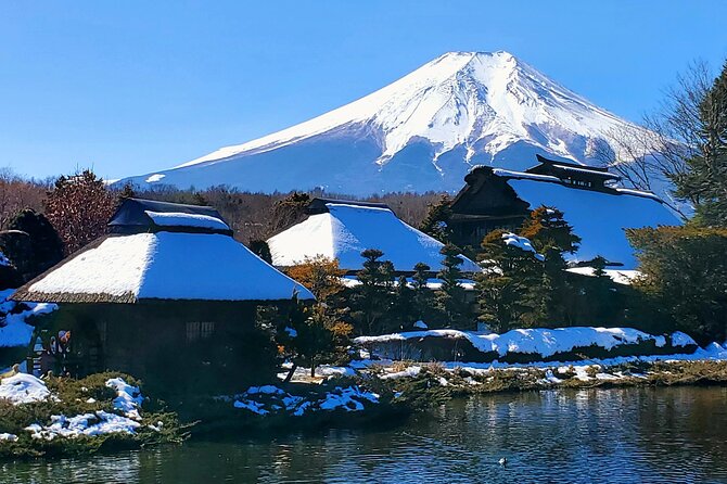Mount Fuji and Hakone Private Tour from Tokyo (Customizable) - Why a private Fuji day trip from Tokyo makes sense