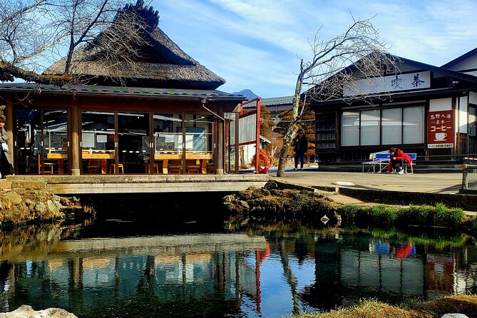 Mount Fuji and Hakone Private Tour from Tokyo (Customizable) - Oshino Hakkai: clear springs and village scenery
