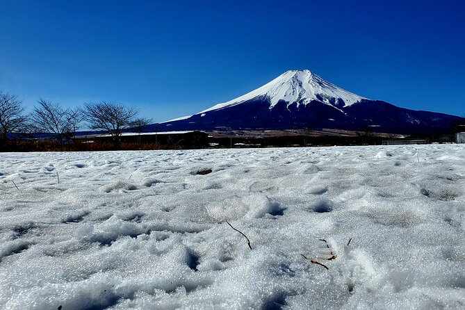 Mount Fuji and Hakone Private Tour from Tokyo (Customizable) - Crossing into Hakone by ropeway