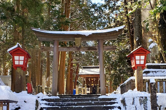 Mount Fuji and Hakone Private Tour from Tokyo (Customizable) - Lake Ashi and the optional pirate cruise