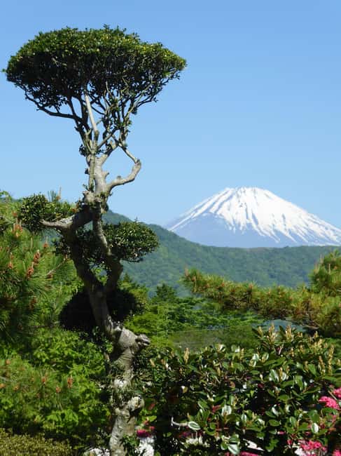 Mount Fuji: Customizable Private Tour By Car With Pickup - The five optional choices